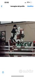 Cavallo