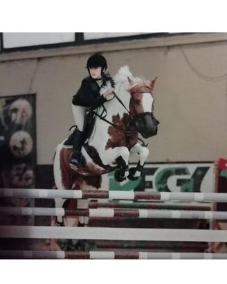 Cavallo
