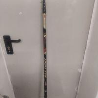 Canna bolognese colmic