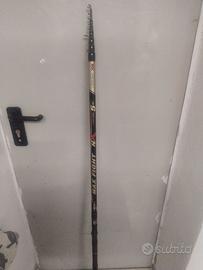 Canna bolognese colmic