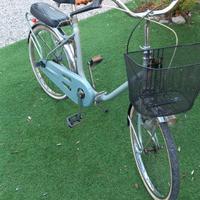 bicicletta pieghevole 