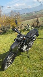 Beta m4 2013