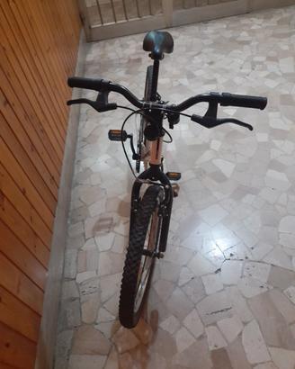 2 biciclette 