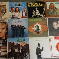 Dischi in vinile 33 giri lotto big