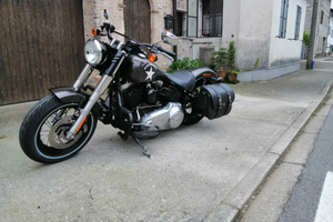 Softail slim 103