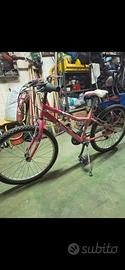 mtb bambina misura 24
