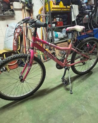 mtb bambina misura 24