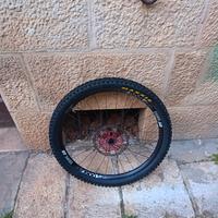 ruota bicicletta 29 