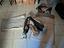 Immagine 3