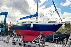 Segelboot Alpa 8