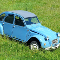 Citroen 2Cv Special