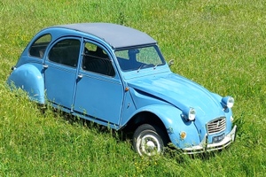 Citroen 2Cv Special