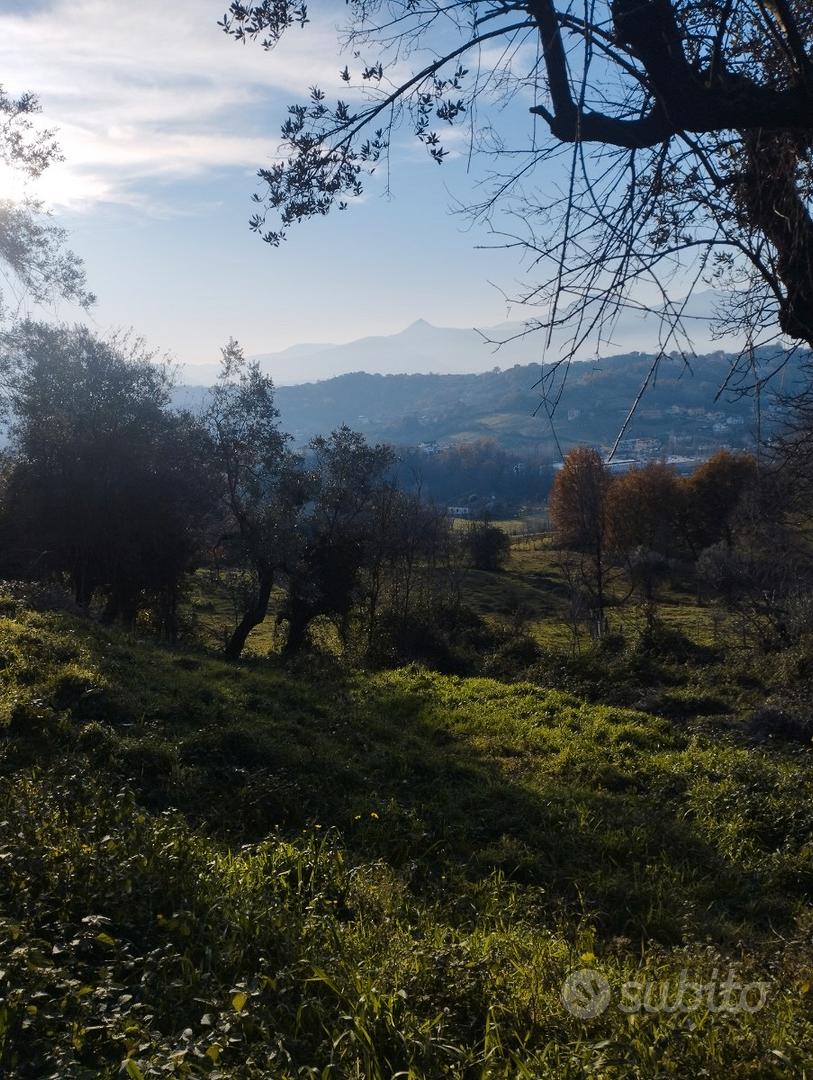 Terreno collinare Torrice (FR) - Vista 5