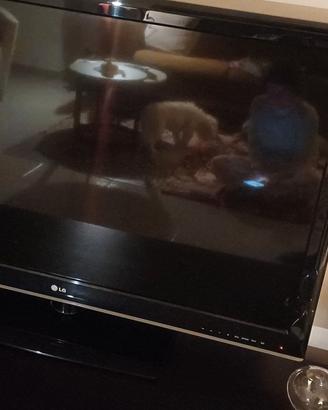 Televisore Lg 42 lm 3400