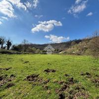 TER. AGRICOLO A CASTELNUOVO DI PORTO