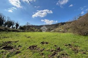 TER. AGRICOLO A CASTELNUOVO DI PORTO