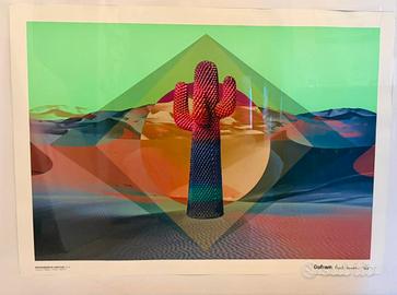 Rara Stampa Designer Paul Smith Cactus Gufram 2016