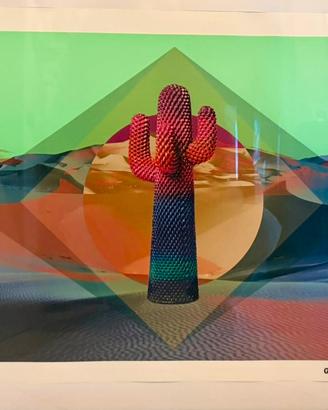Rara Stampa Designer Paul Smith Cactus Gufram 2016
