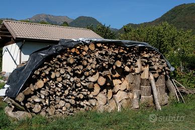 LEGNA DA ARDERE
