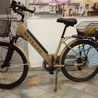 Bici elettrica