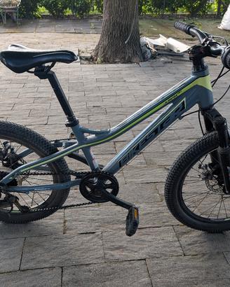 Bici 20