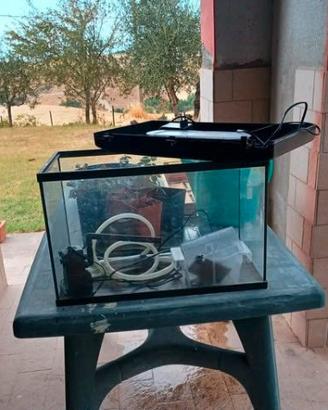 Acquario Aquatlantis 50 litri