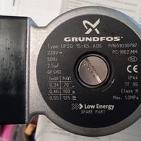 Immergas circolatore - Pompa  Grundfos