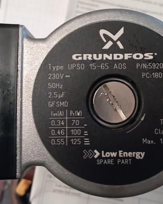 Immergas circolatore - Pompa  Grundfos