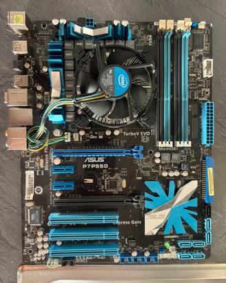 Asus P7P550