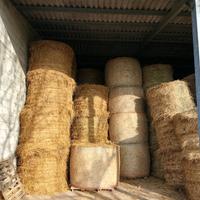 Fieno primo taglio 2025