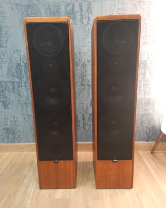 Diffusori Canton Ergo RC-L con Unit control.