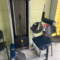 Abdominal/Lower back