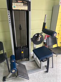 Abdominal/Lower back