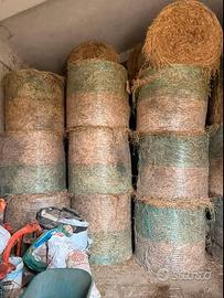 Fieno trifoglio alessandrino+avena+loietto