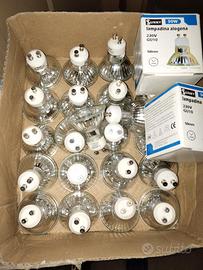 Lampadine alogene G10 50W 24 pezzi