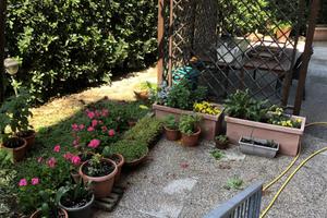 Pietralacroce con giardino e vista mare