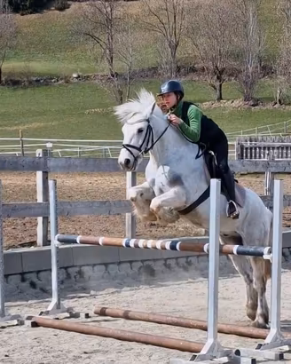 Pony