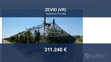 Immobile in asta di 45493 m² a Zevio