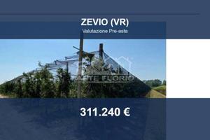 Immobile in asta di 45493 m² a Zevio