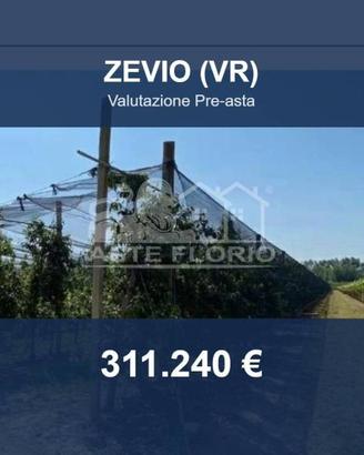 Immobile in asta di 45493 m² a Zevio