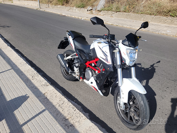Benelli bn 251 - 2018