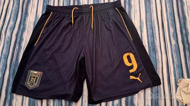 Puma nazionale