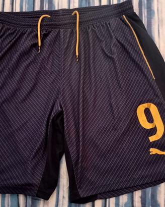 Puma nazionale