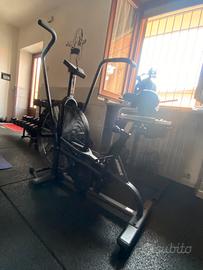 Palestra