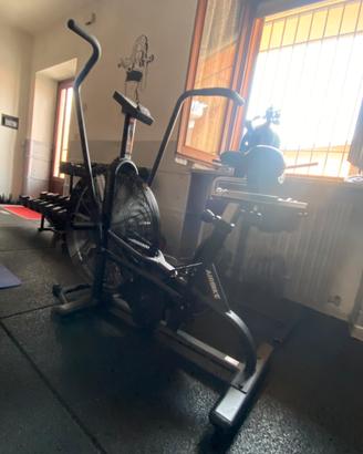 Palestra