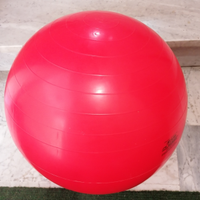 Fitball palla da fitness e ginnastica 55 cm