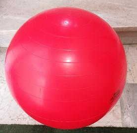 Fitball palla da fitness e ginnastica 55 cm