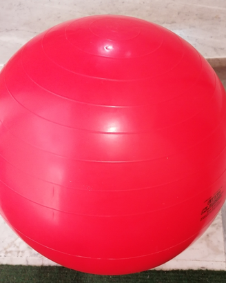 Fitball palla da fitness e ginnastica 55 cm