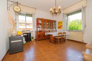Trilocale Pt/rialzato con giardino esclusivo e gar