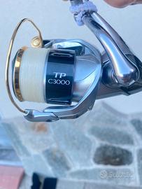 canna bolognese tuberttini 8 mt